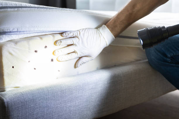 Best Termite Control Services  in Croydon, PA